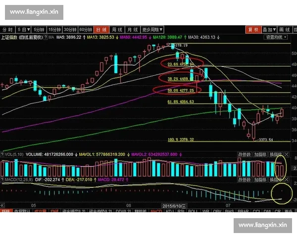 如何通过分析体育赛事走势预测比赛结果及团队表现趋势